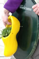 How to plant8