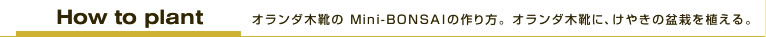 オランダ木靴のMini-BONSAIの作り方